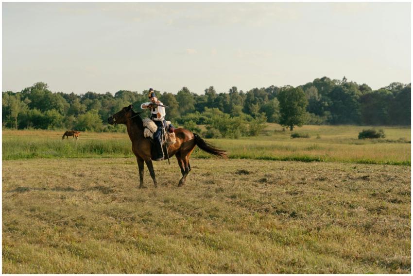 Horseback rider in action in a vast, green field s