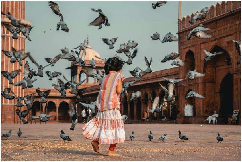 A young girl happily plays among flying pigeons in