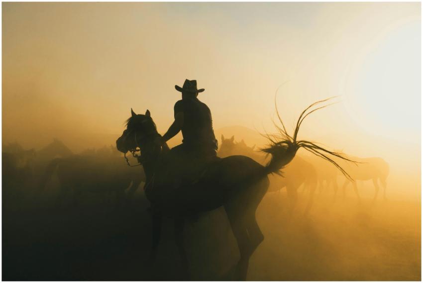 A cowboy riding a horse through a dusty sunrise, c
