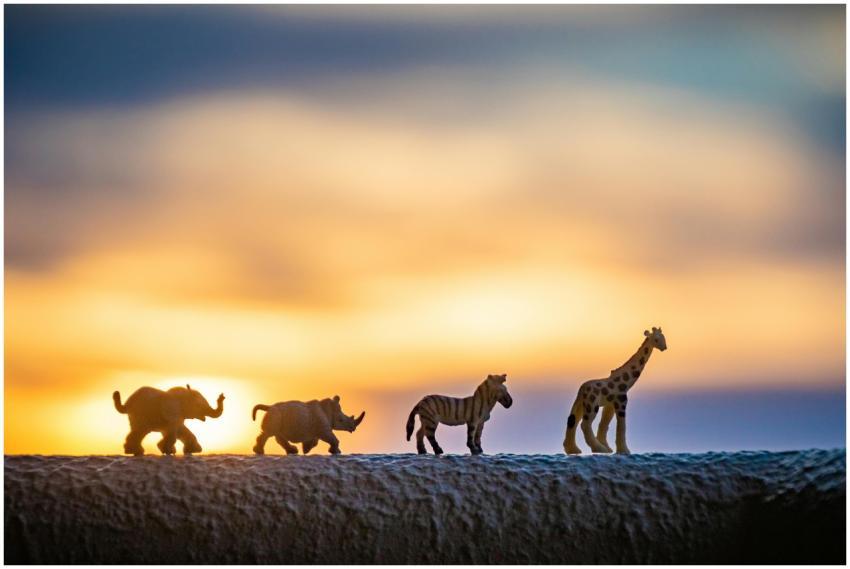 Silhouettes of miniature safari animal figures at