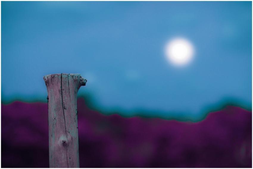 A solitary wooden post stands against a dreamy blu