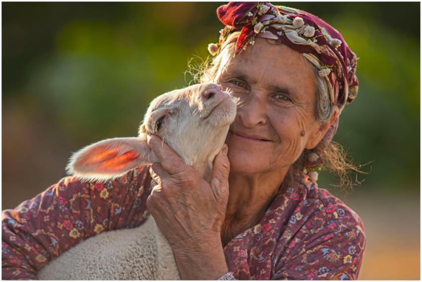 A senior woman lovingly holds a lamb in rural Ödem