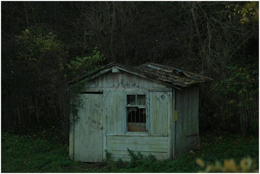 Rustic Abandoned Shed Dense