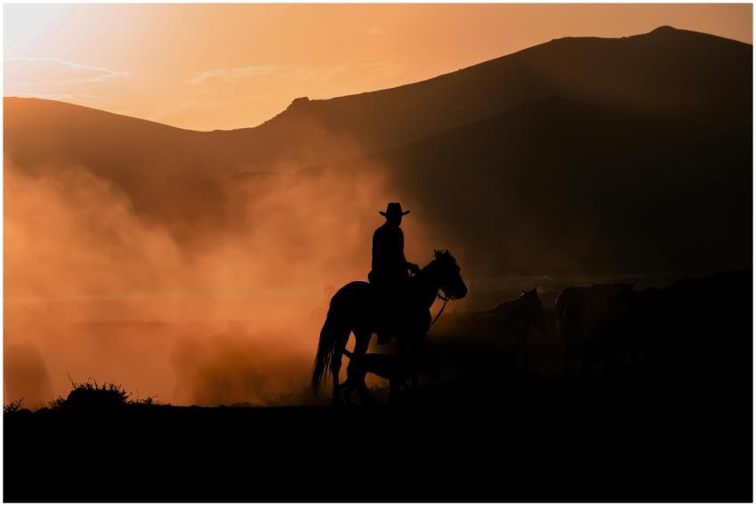 A cowboy on horseback silhouetted against a stunni