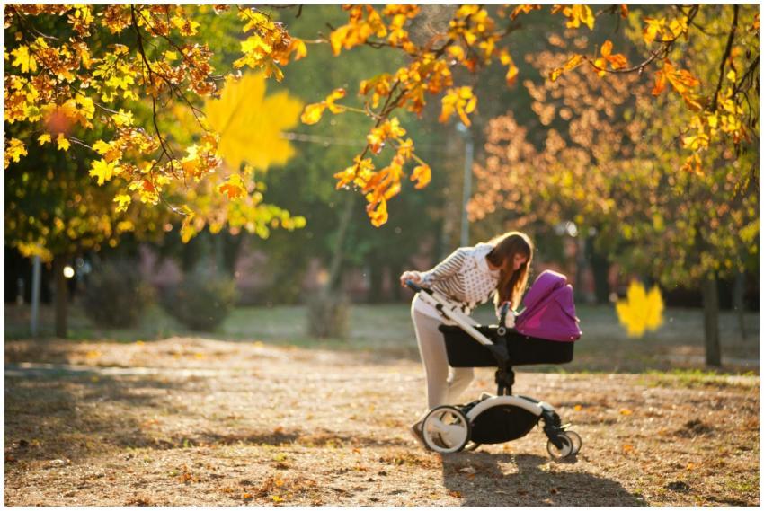 Mother strolling in a sunny autumn park with a bab