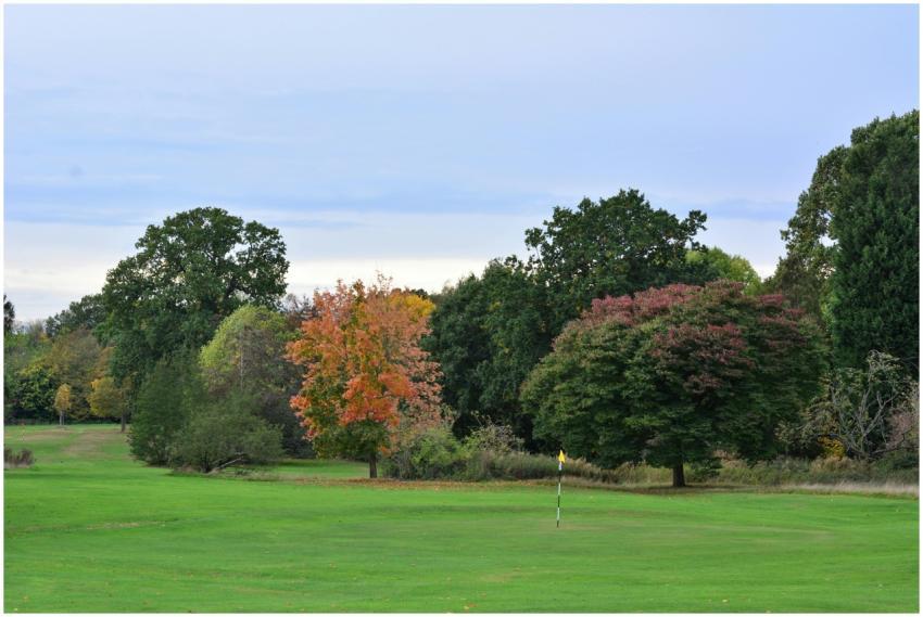 Autumn Golf Course Colorful