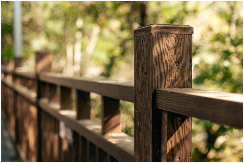 Close-up of a wooden railing in a sunlit forest, s