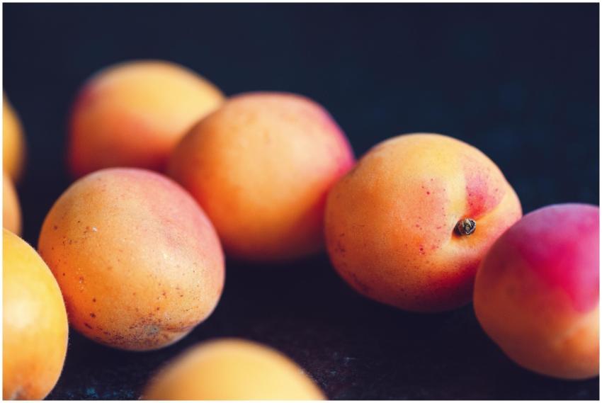 Vibrant image of ripe and juicy apricots showcasin