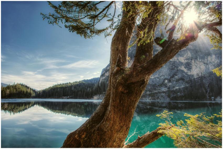 Scenic view of Lake Braies with sunlit tree branch