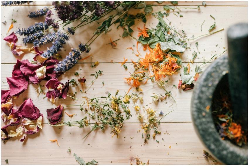 A beautiful still life of dried herbs and flowers