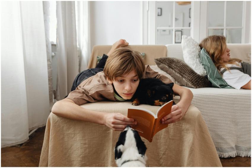 A teenager reading a book on a couch with two dogs