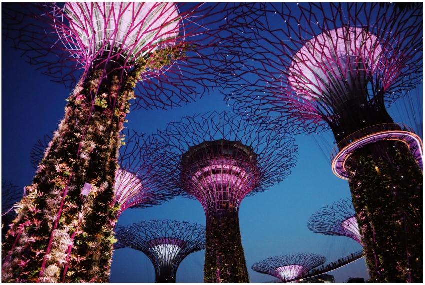 Captivating nighttime shot of the illuminated Supe