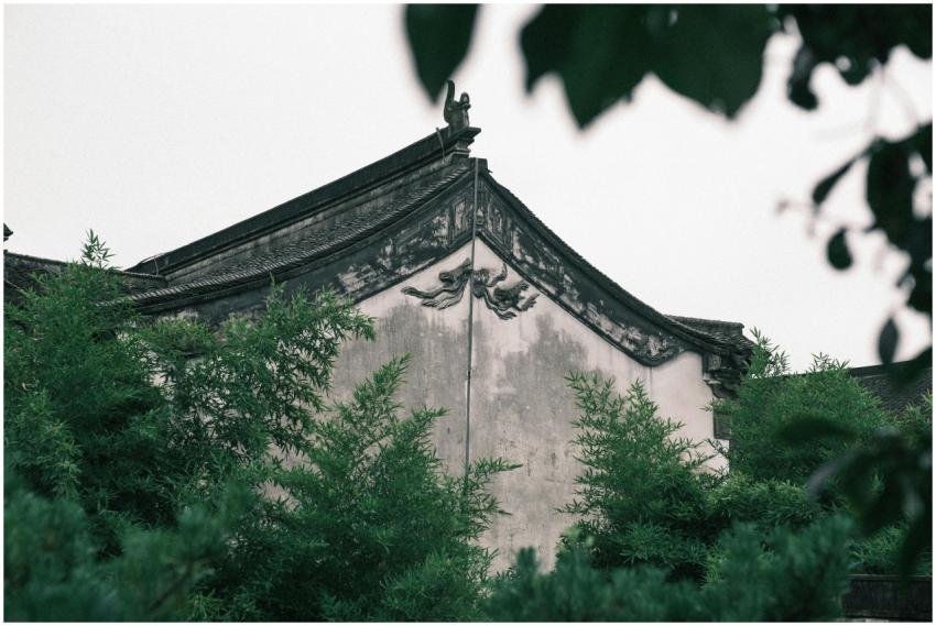 Elegant traditional Chinese roof surrounded by lus