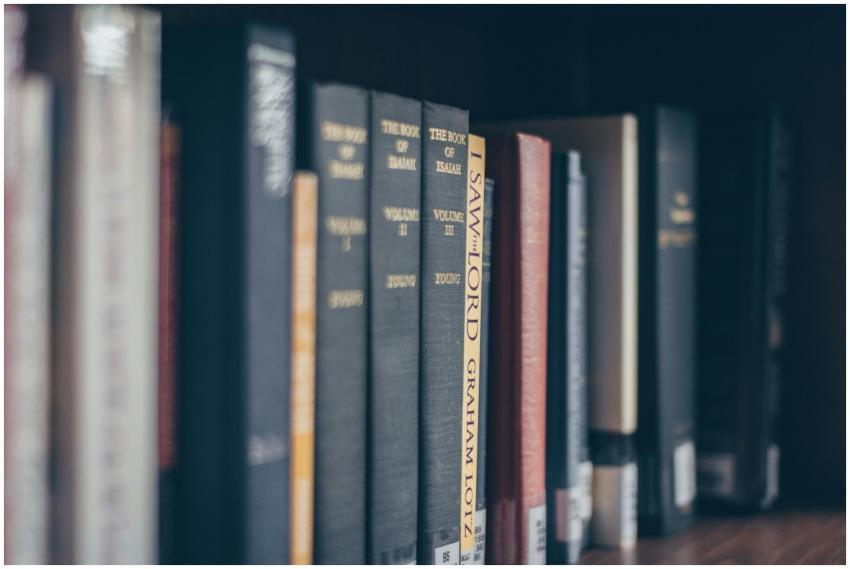 A focused view of books on a library shelf featuri