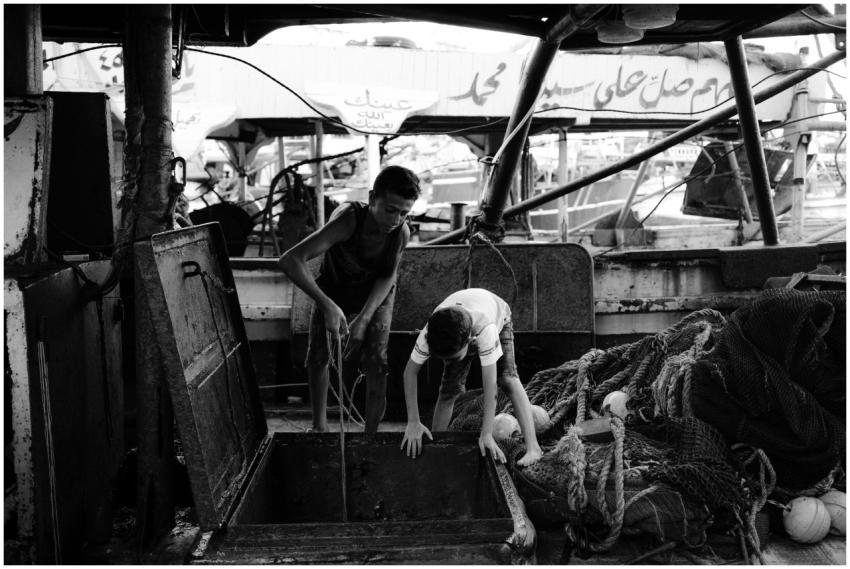 Free stock photo of award, background, beauty