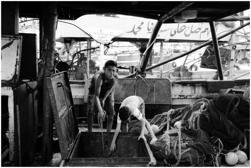 Free stock photo of award, background, beauty