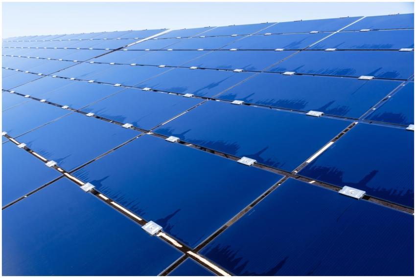 Wide view of solar panels under clear sky, showcas