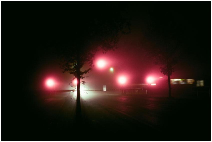 Nighttime street view in Berlin highlighted by bri