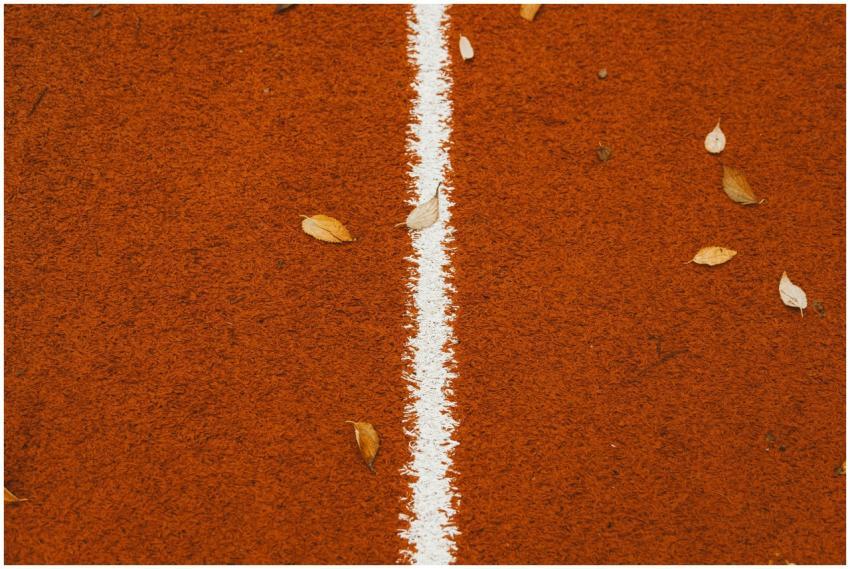 Detailed view of white line on orange clay tennis