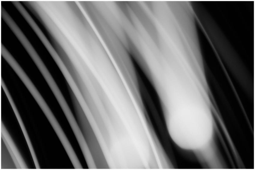 Abstract black and white image featuring dynamic l