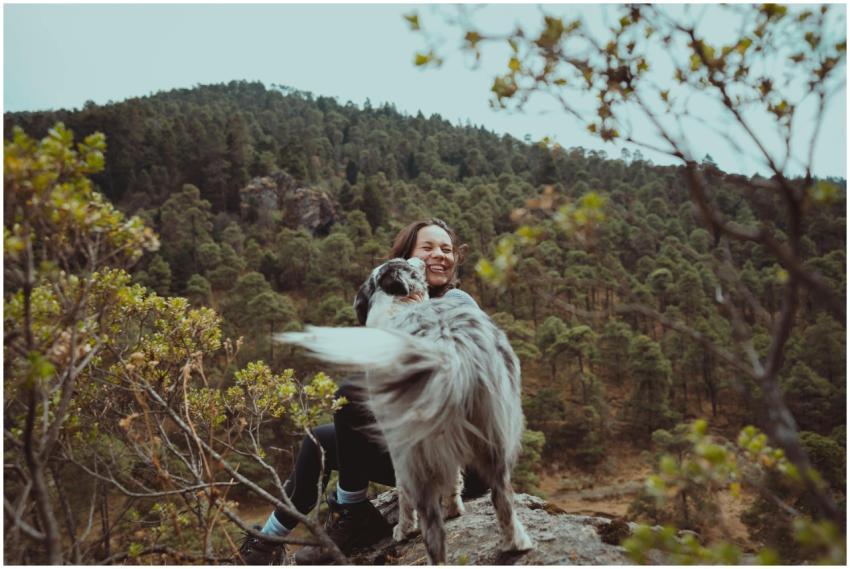 A joyful woman with her Border Collie enjoying a s