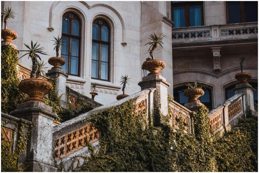 Historic villa exterior with ivy-clad stone stairc