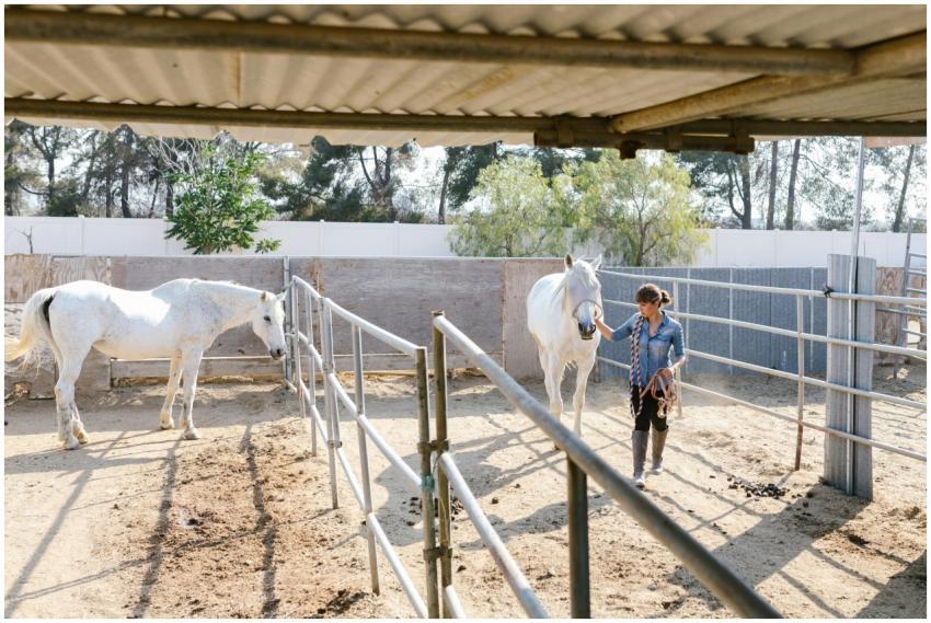 A woman guides a white horse in a fenced ranch cor