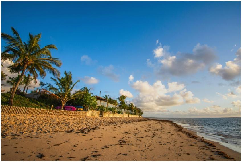 Serene beach with palm trees and clear skies at Po