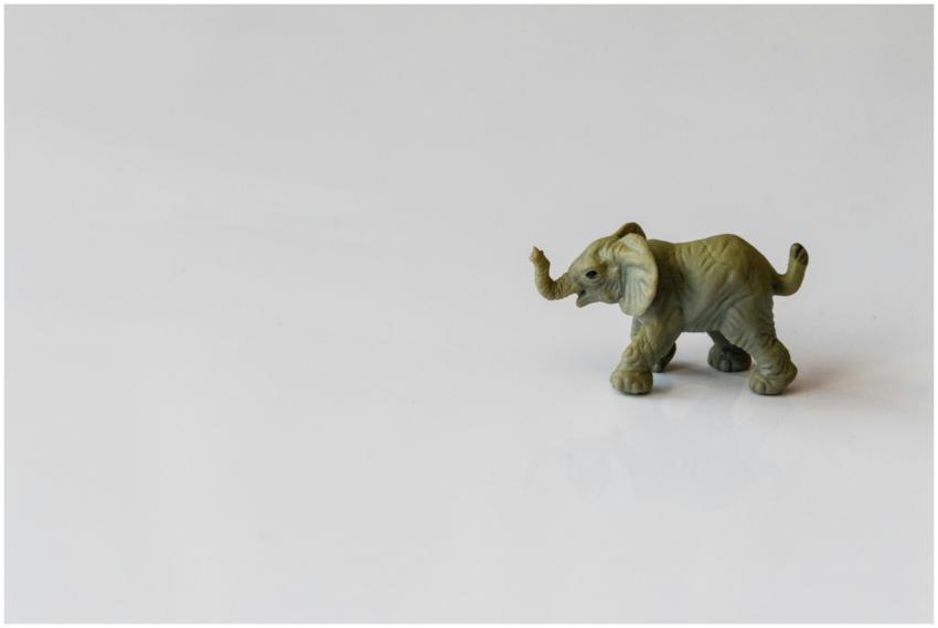 Tiny elephant figurine in side view on a plain whi