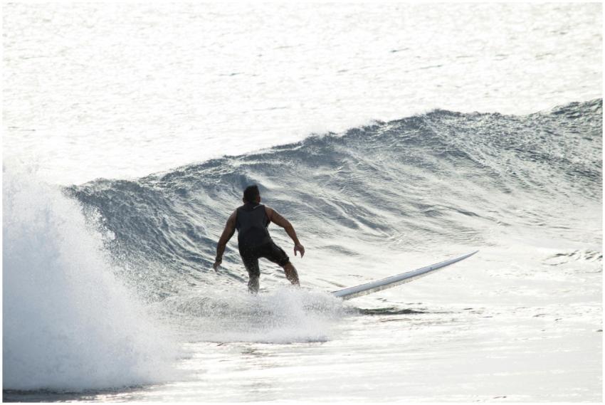 A surfer skillfully rides a wave in Honolulu, capt