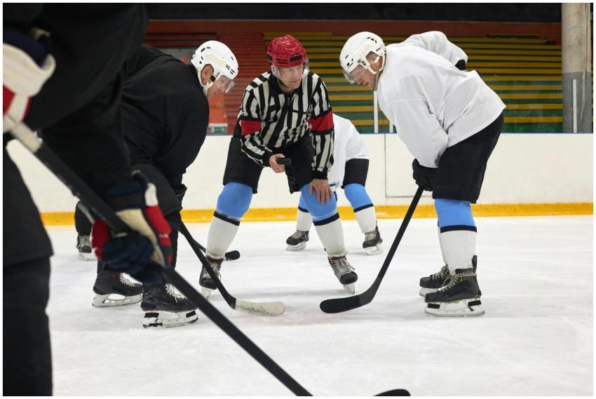 A referee drops the puck for a faceoff between pla