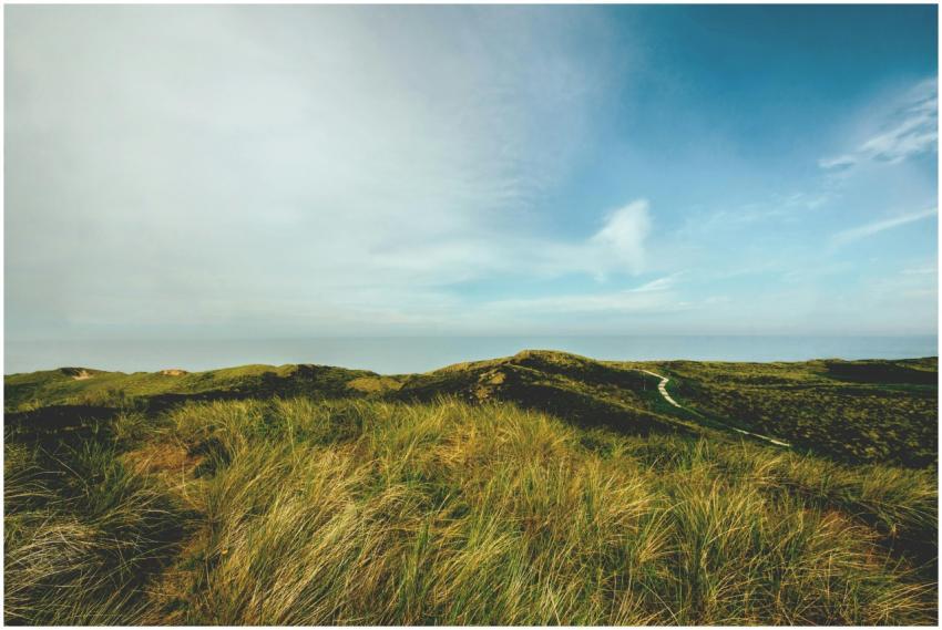 Beautiful grass-covered dunes under a cloudy sky o