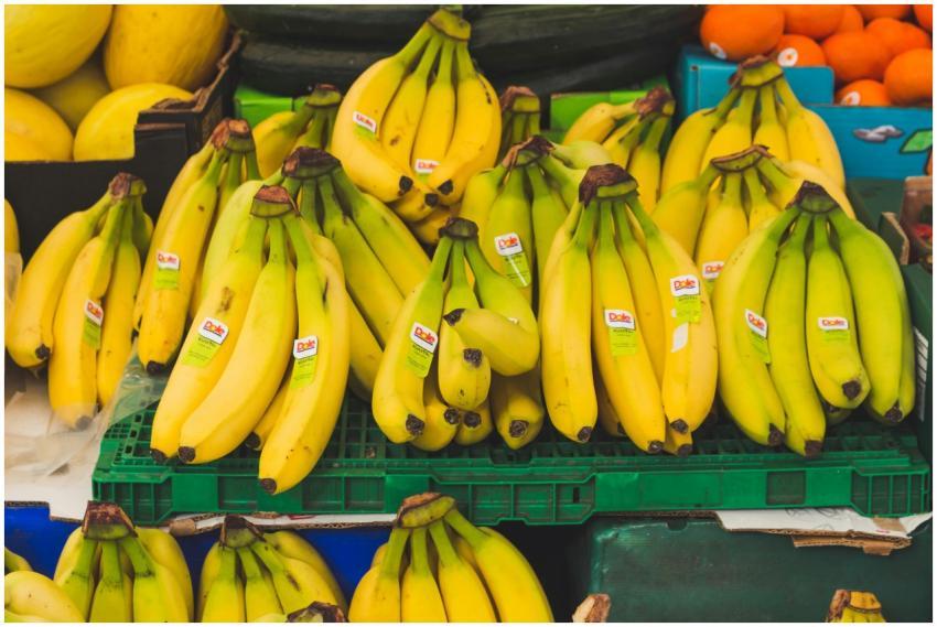 A vibrant display of fresh bananas at a local mark