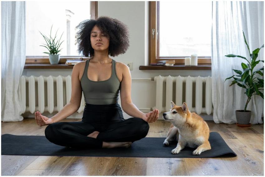 Woman meditating on yoga mat with Shiba Inu dog in