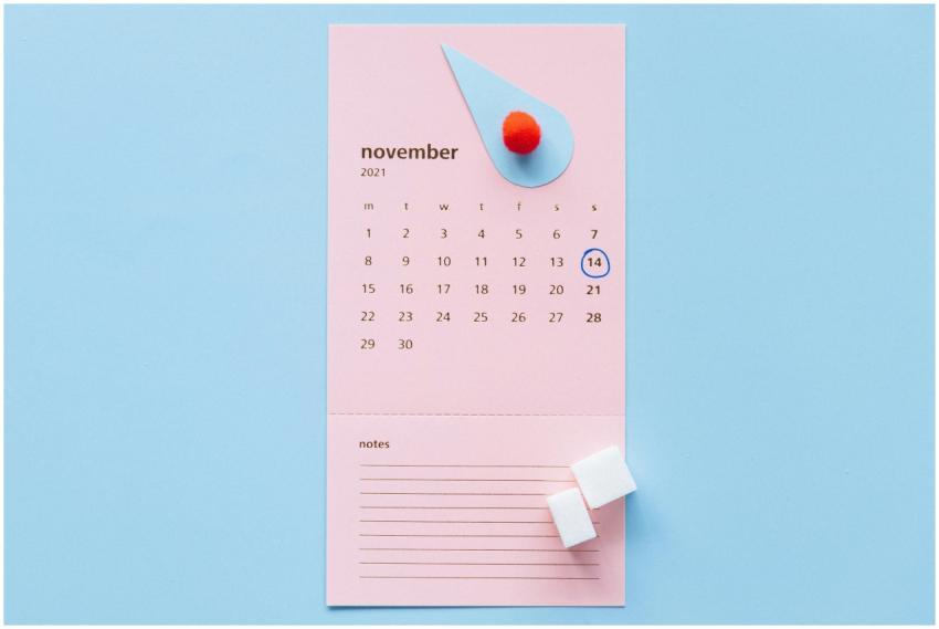 Calendar with November 2021 highlighting World Dia