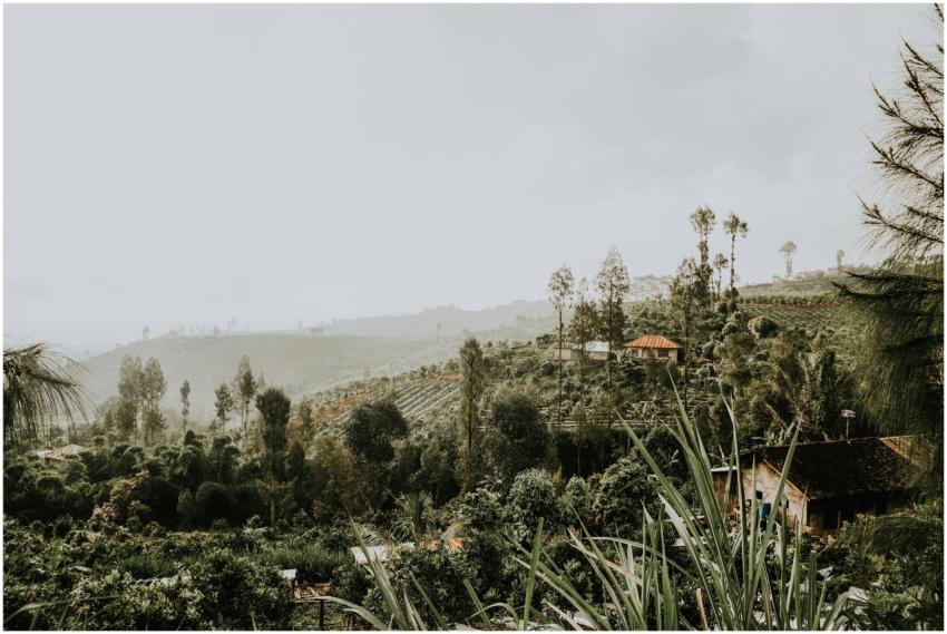 Scenic view of lush green hills and fog in Bali, p