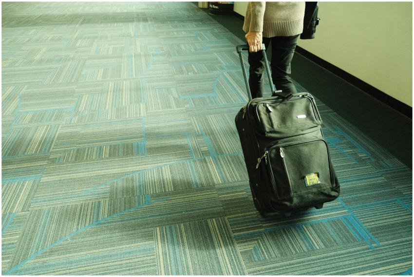 Person walking with luggage on blue carpeted airpo