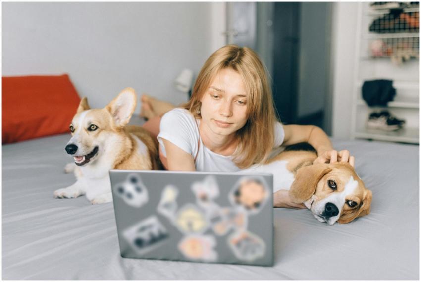A woman working on a laptop at home with her pets,