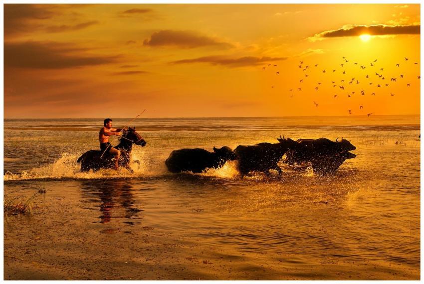 A person riding a horse alongside running water bu