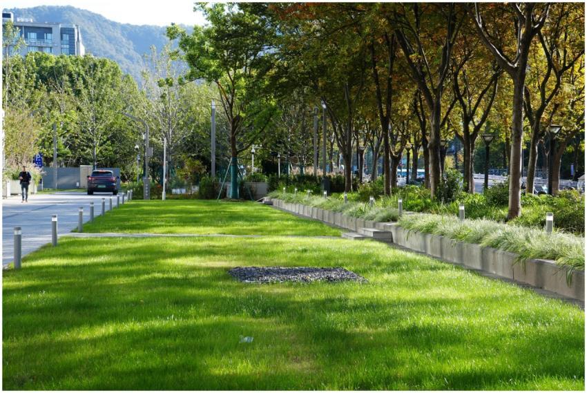 Tranquil urban park scene with autumn foliage, gre