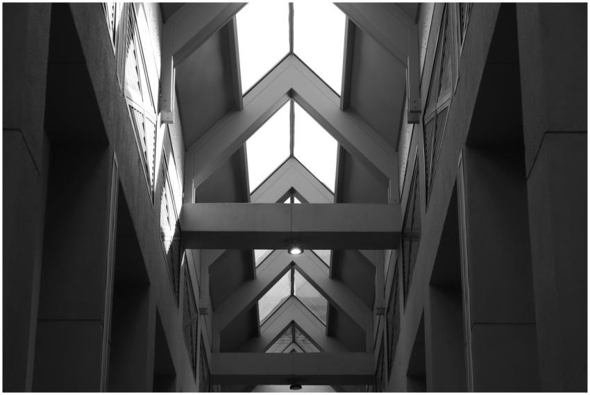 Black and white photo showcasing an interior with