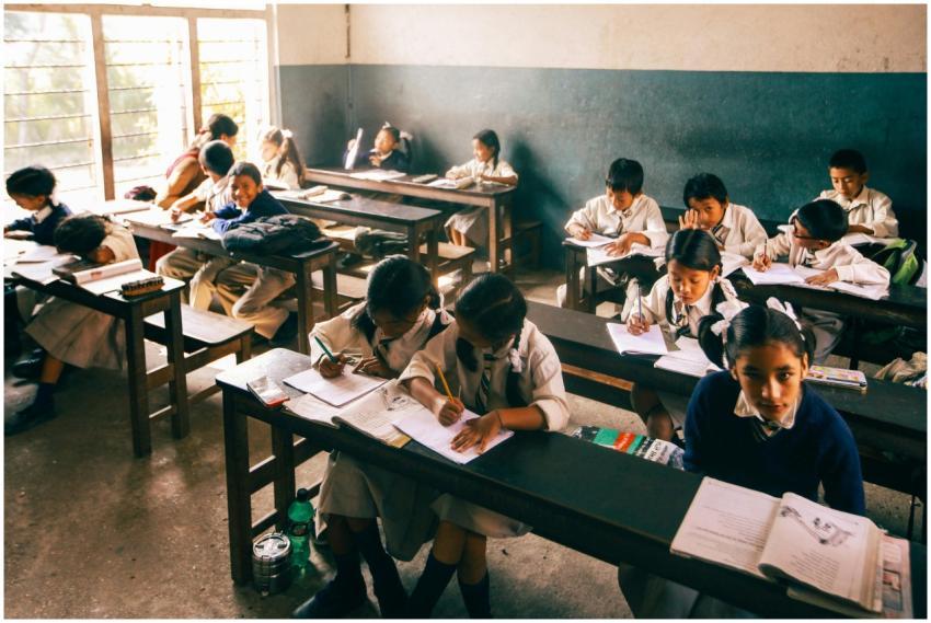 Elementary school children studying in a classroom