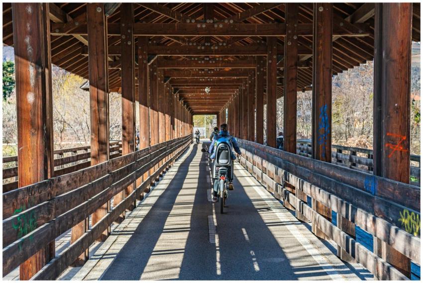 Cyclists ride bicycles through a scenic wooden cov