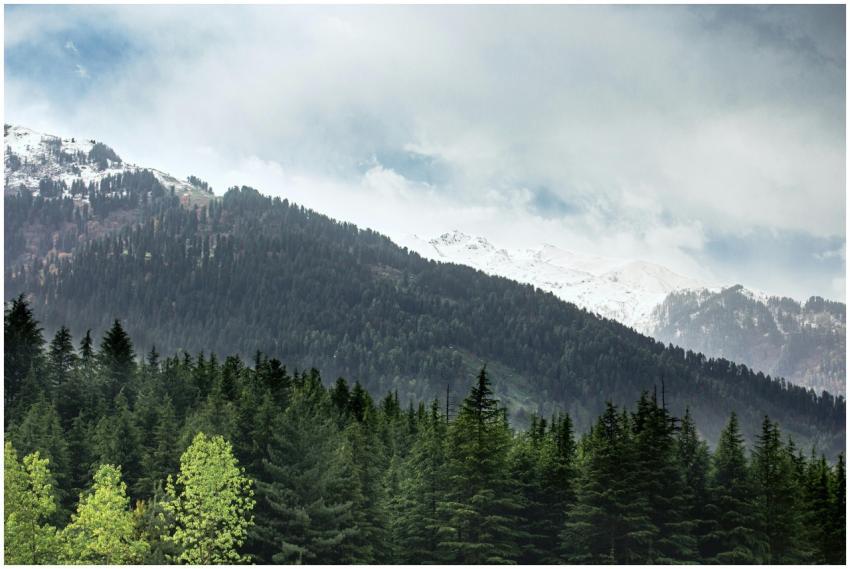 Scenic Mountain Landscape Snowy