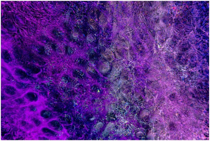 A mesmerizing abstract background with vibrant pur