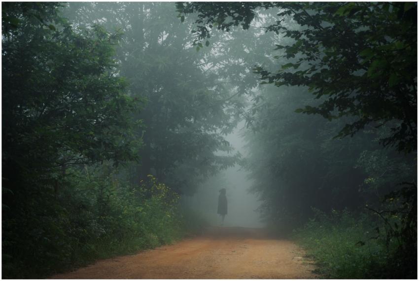 A mysterious figure walks through a mist-covered f