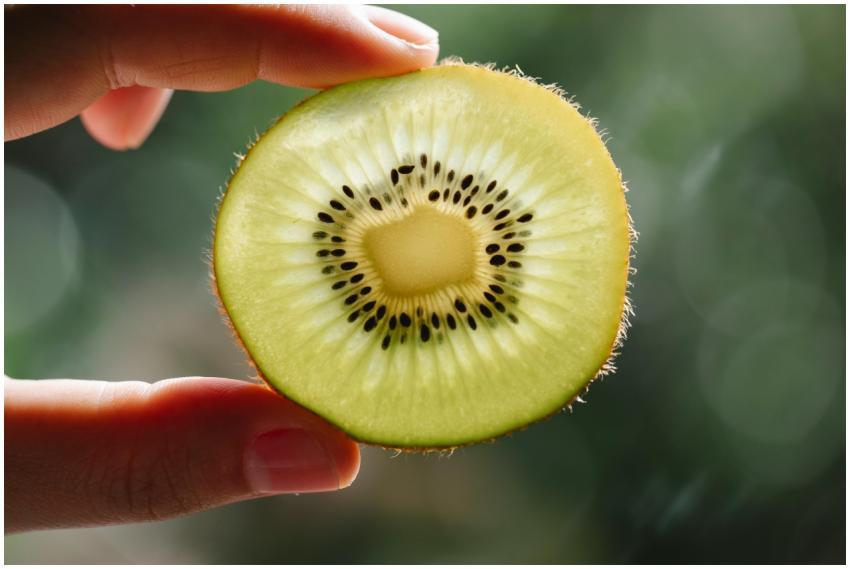 Crop anonymous person demonstrating pulp texture o