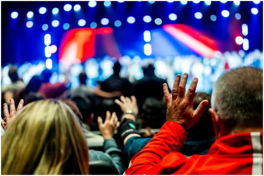 Vibrant Audience Live Concert