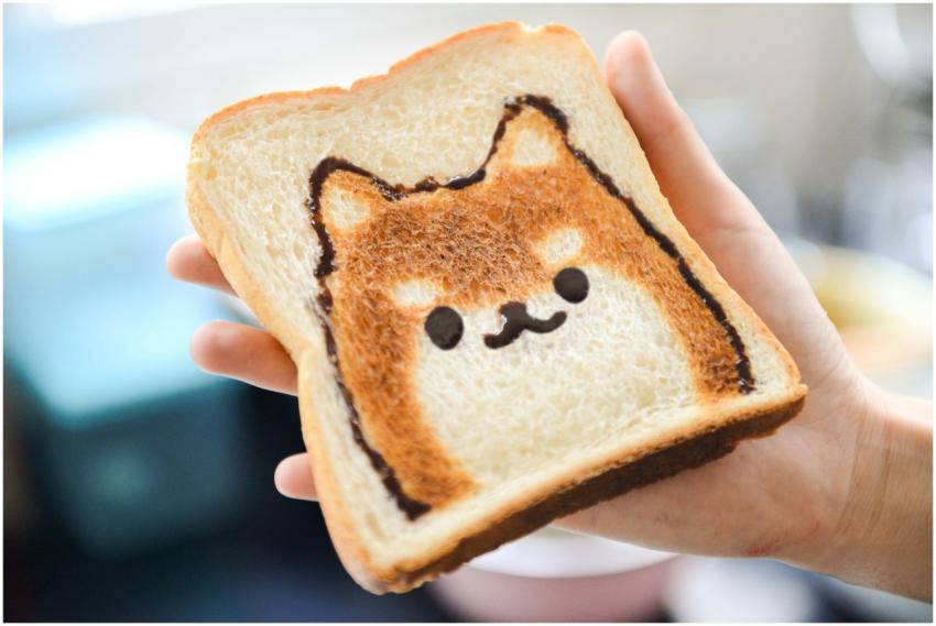 Adorable Shiba Inu face toast art, perfect for bre