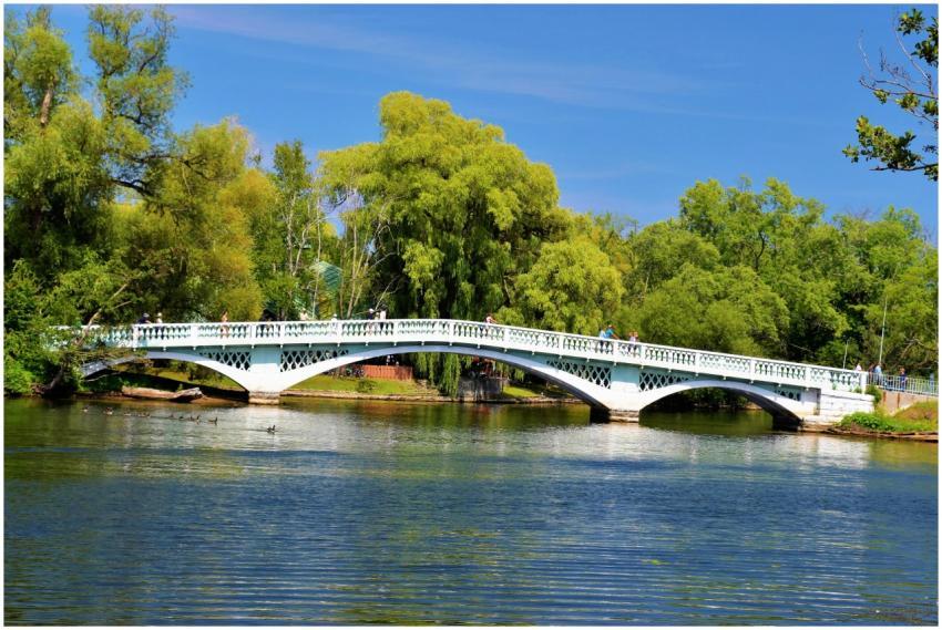 A beautiful footbridge spans a serene lake surroun